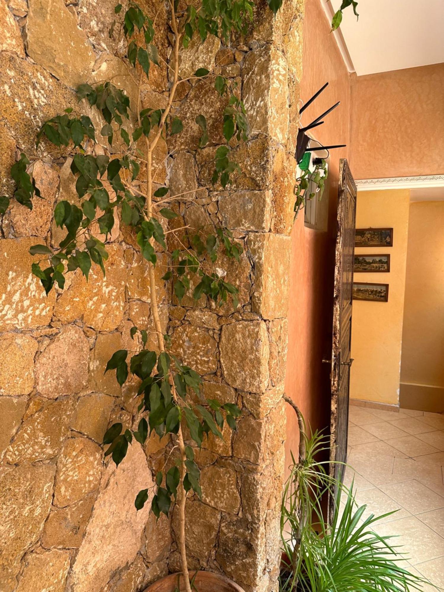 Europa Mirlef T Aventur Guest House Mirleft Kültér fotó